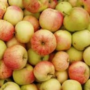 Яблоки мелкоплодные