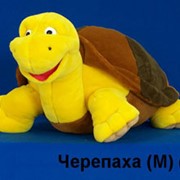 Игрушка Черепаха (М) (С) фото