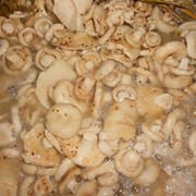Грузди соленые фото