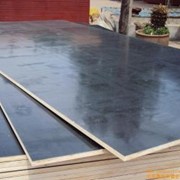 Фанера ламинированная 2 сорт черная 18мм фото