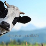 Гранула для дойных коров - Енергетическо Протеиновая добавка "Море Милк"