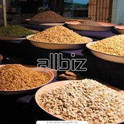 Селекционные пшеница, ячмень, рапс, подсолнечник, соя, кукуруза, горчица