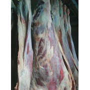 Мясо говядина фотография
