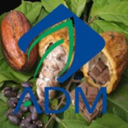 Какао-порошок алкализированный R-3 (ADM. De Zaan, Нидерланды) фото