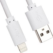 Кабель USB Apple lightning Glossar iP5-02 Smile для iPhone 5 black