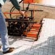Работы по укладке тротуарной плитки фото