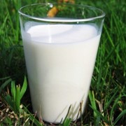 Молоко свежее оптом от 20 т неделя фото