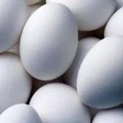 Яйца куриные от производителя