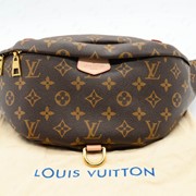 Поясная сумка Louis Vuitton Bumbag 50335