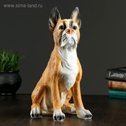 Копилка “Боксер“, 36х24см фото