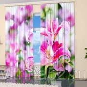 Фотошторы “Лилия“ фото