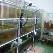 Химия аквариумная фото