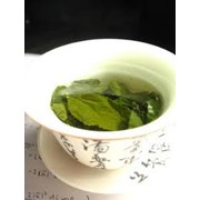 Чай из листьев смородины фотография