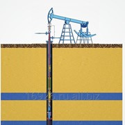 Комплекс оборудования для одновременно-раздельной добычи (ОРД) нефти фото