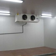 Аренда низкотемпературных холодильных камер от 320 до 1600 кв.м. фото