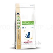Лечебный корм для кошек Royal Canin Urinary S/O Feline - 6 кг