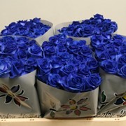 Синие розы Dyed Blue длина: 75 см. фото