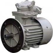Электродвигатель ВАО2 315L10 132 кВт/600 об Взрывозащищенный асинхронный Украина цена фотография