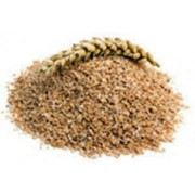 Услуги гранулирования пшеничных отрубей фото