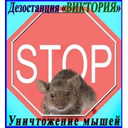 Борьба с мышами, дезинфекция, дезинсекция, дератизация, в Алматы