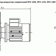 Мотор-редуктор червячный МЧ-100