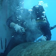 Подводный ремонт фото