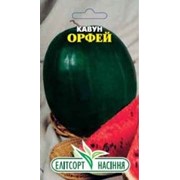 Семена арбуза Орфей 2 г