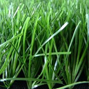 Искусственная трава для футбола 40 мм фотография