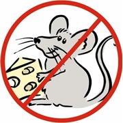 Дератизация. Уничтожение крыс, мышей, кротов. фото