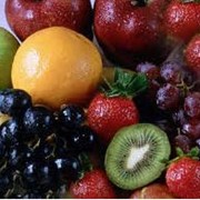 Посадка плодово-ягодных насаждений фотография
