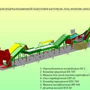 Линия по обработке картофеля, овощей, фруктов фото