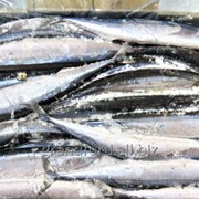 Рыба Сайра тихоокеанская, крупная 120-140 грамм фото