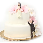 Свадебный торт Карабкающийся жених №99 фото