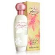 Вода туалетная Pleasures Exotic от Estee Lauder, 50мл