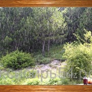 Обогреватель-картина “Варенье под дождём“ фото
