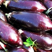 Баклажан, семейство пасленовых фото