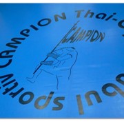 Покрытия для ринга, спортивные покрытия фото