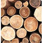 Пиломатериалы из экзотических пород древесины