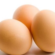 Услуги инкубации яиц домашней птицы фото