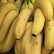Бананы сорт Бонго фото