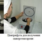 Ветеринарные лаборатории фото