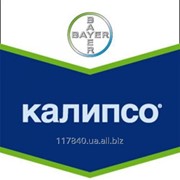 Инсектицид Калипсо, Bayer, тара (1 л) фото