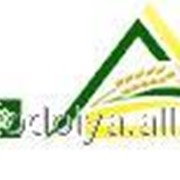 Стойка в сборе, зам.421955, № 430165 фото