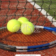 Мячи для большого тенниса фото