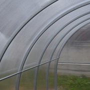 Теплица парник Гарант-Триумф дуги 40х20 10 метров фотография