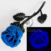 Светящаяся синяя кованая роза фото