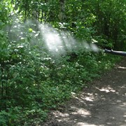 Борьба с комарами Украина фотография
