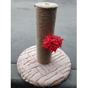 Когтеточки для кошек фото