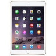 Планшет Apple A1567 iPad Air 2 Wi-Fi 4G 16Gb Gold (MH1C2TU/A) фото