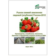 Рынок свежей земляники садовой (клубники) России. Исследование ягодной отрасли